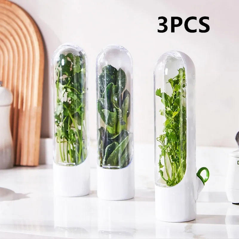 1/2/3PCS Herb Saver Storage Container