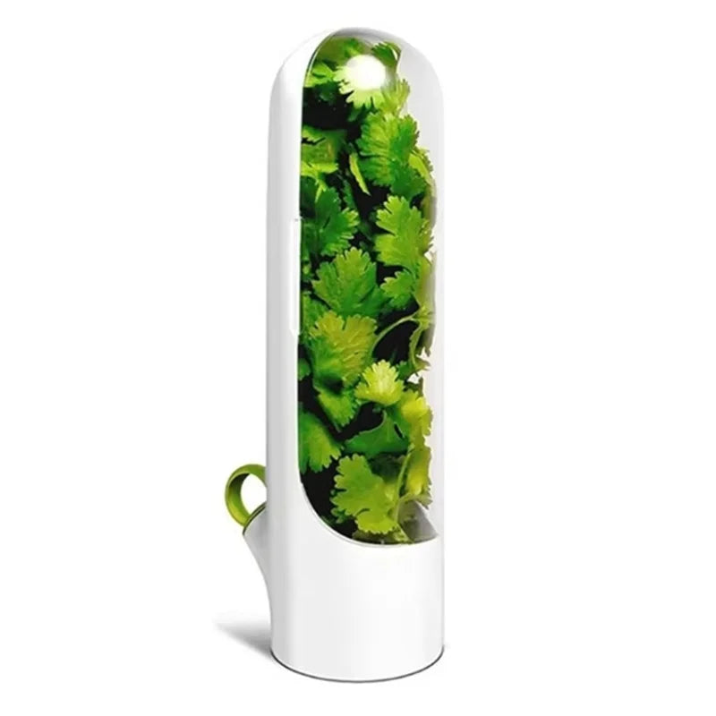 1/2/3PCS Herb Saver Storage Container