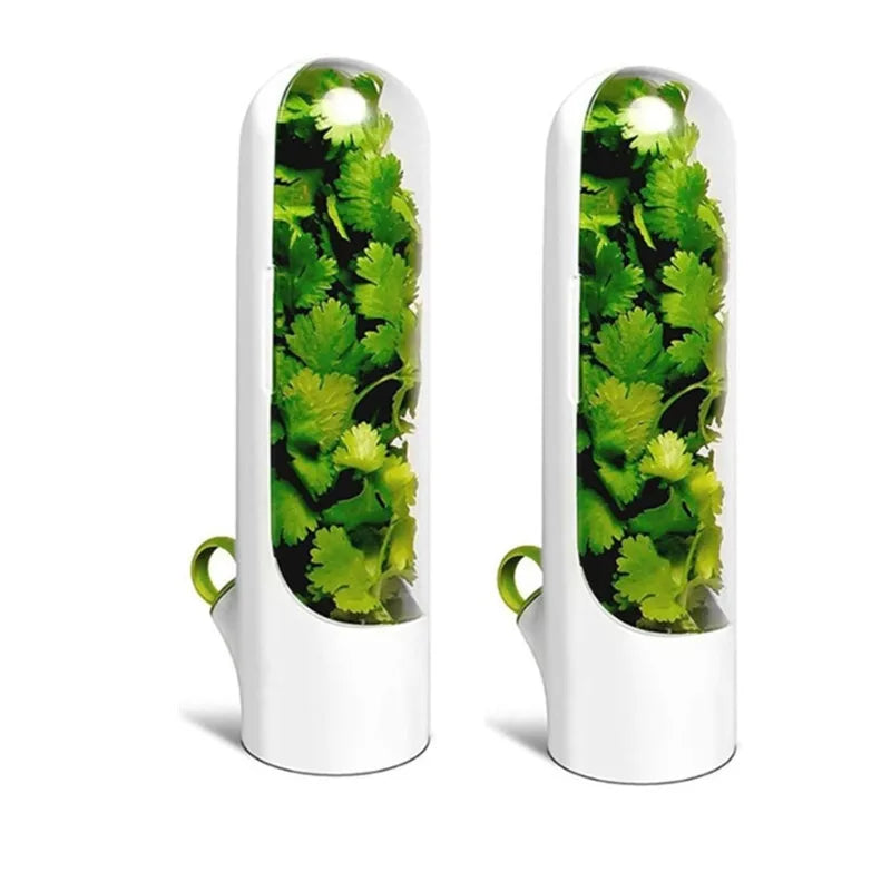 1/2/3PCS Herb Saver Storage Container