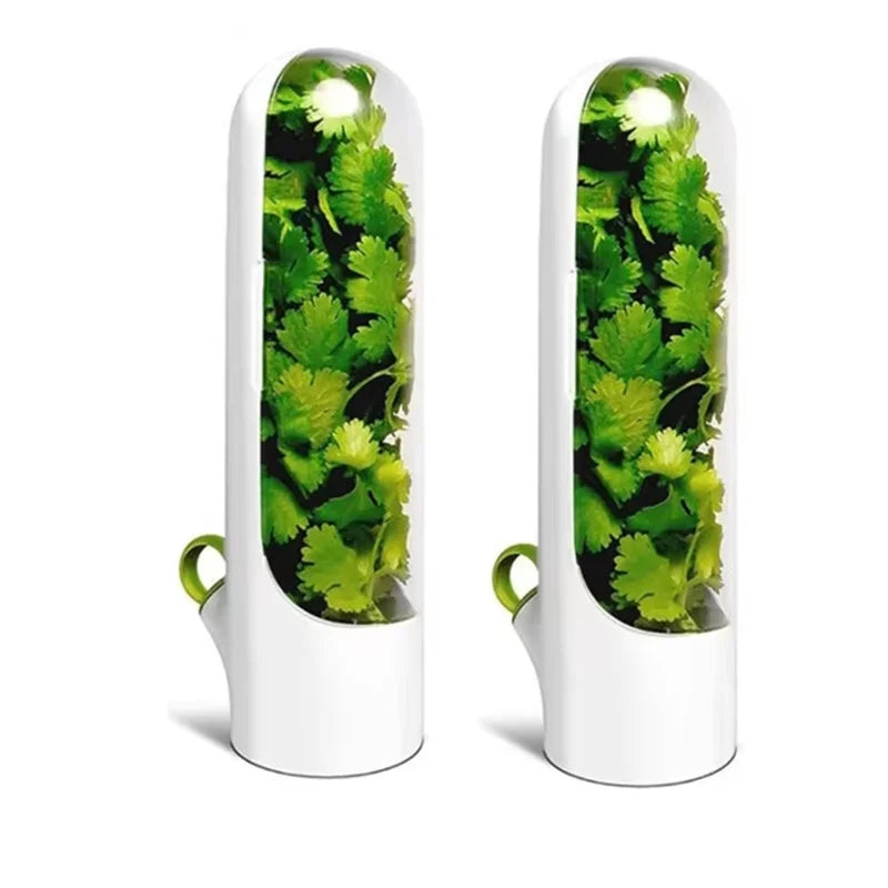1/2/3PCS Herb Saver Storage Container
