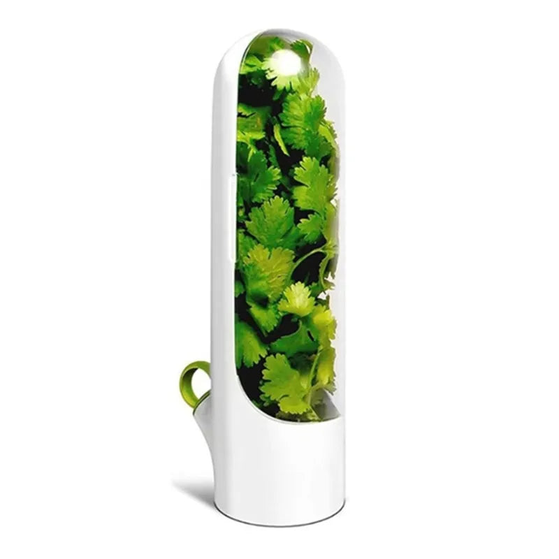 1/2/3PCS Herb Saver Storage Container