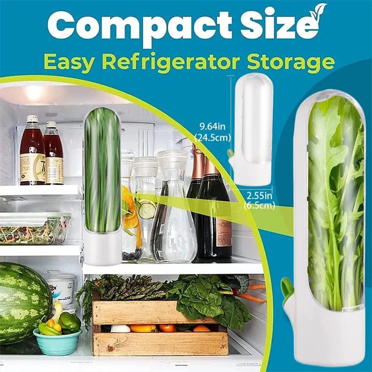1/2/3PCS Herb Saver Storage Container