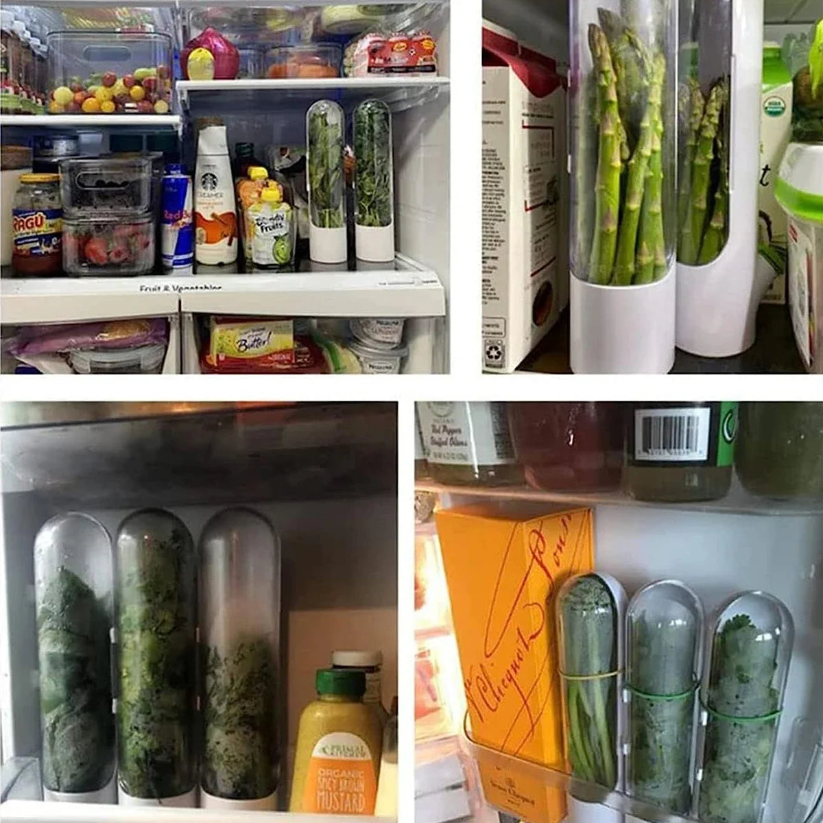 1/2/3PCS Herb Saver Storage Container